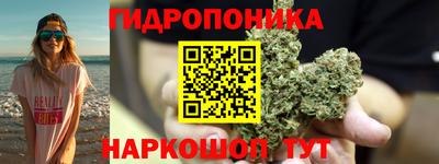 стафф Абакан