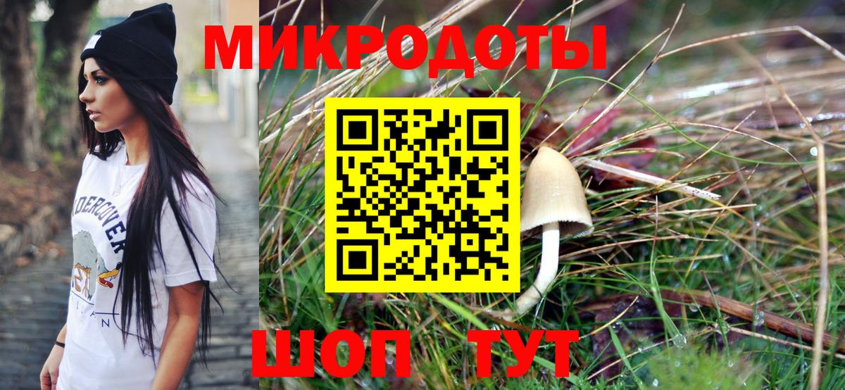 Псилоцибиновые грибы мицелий  Вход с VPN  Алатырь 