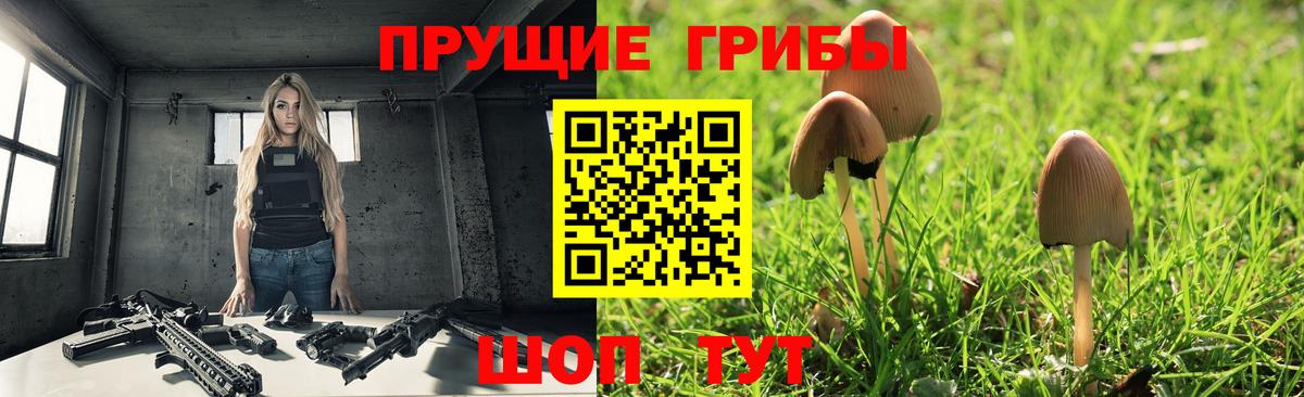 Псилоцибиновые грибы мицелий Алатырь